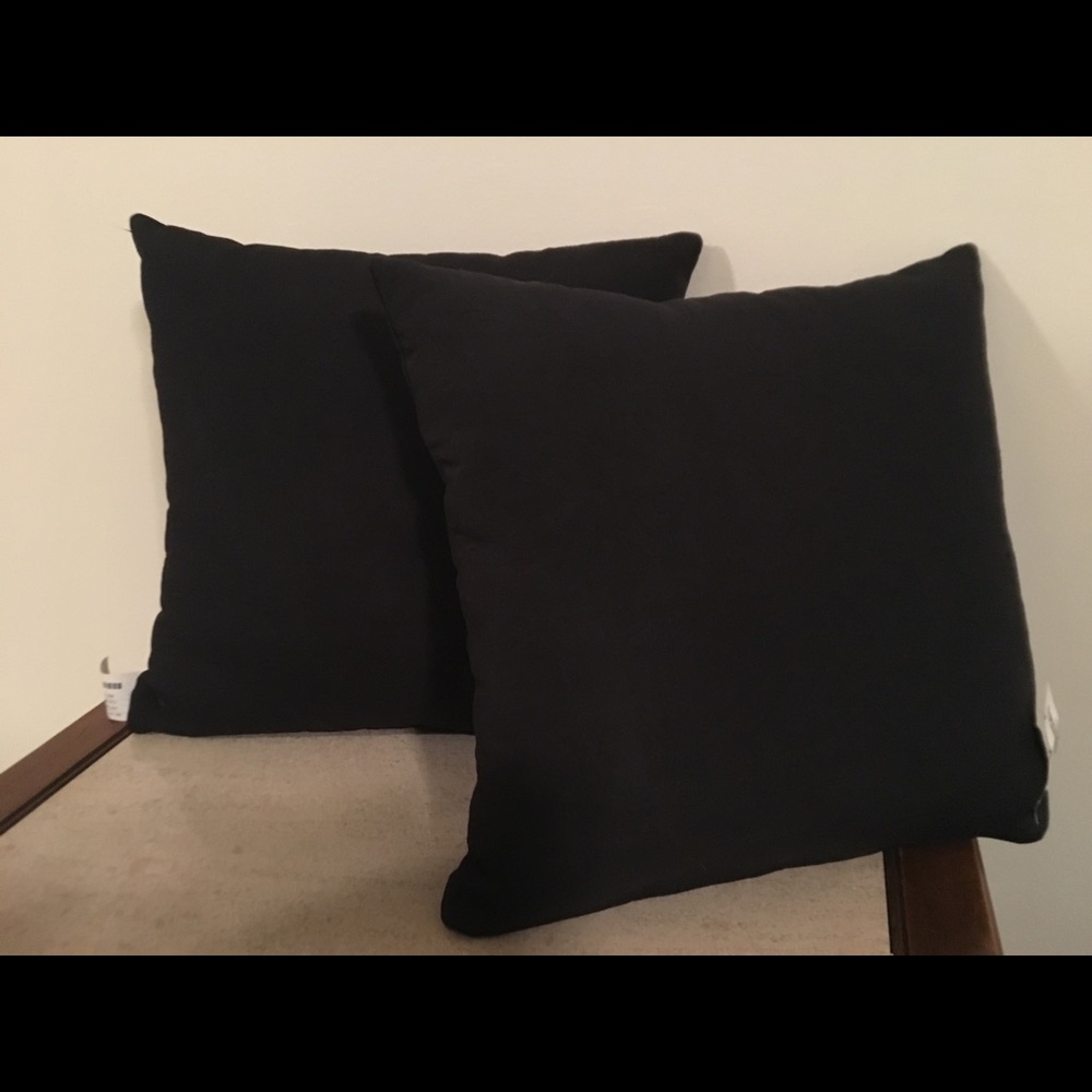 (2) Black Throw Pillows